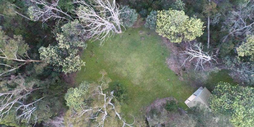Thumbnail for Drones to look after Tassie animals