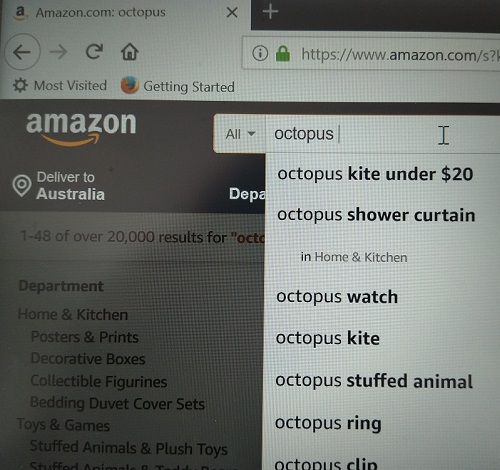 Mike Singe  Searching for Octopus in the Amazon  Digital video Duration: 11 minutes  2019  Image courtesy of the artist