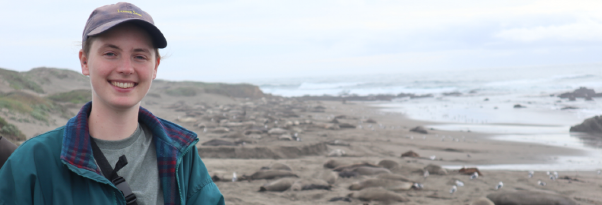 Thumbnail for UTAS Antarctic researcher wins prestigious Fellowship to study in the US