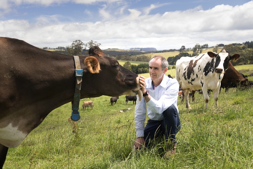 Thumbnail for Livestock Production | Tasmanian Institute of Agriculture