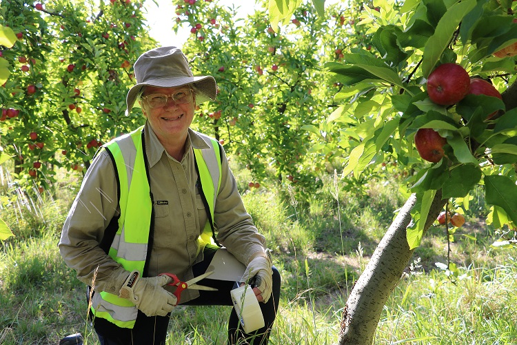 Dr Sally Bound in an apple orchard in the Huon Valley, Tasmania