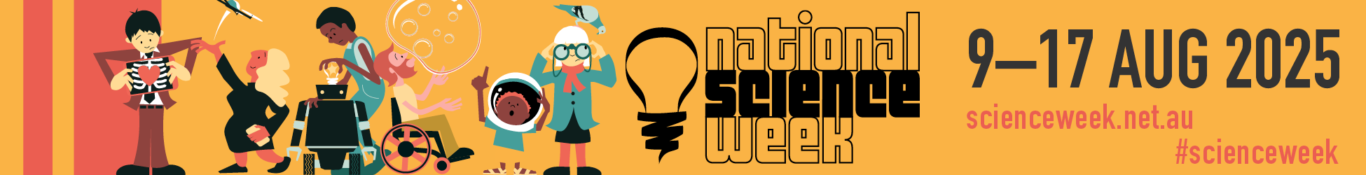 NSW Banner