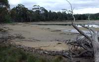 Impression Bay Jetty