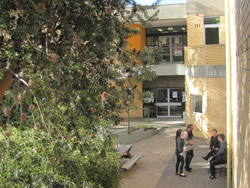 View of the Law Library building
