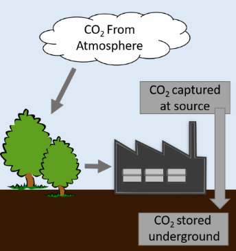 Figure 3. Bioenergy with Carbon Capture and Storage