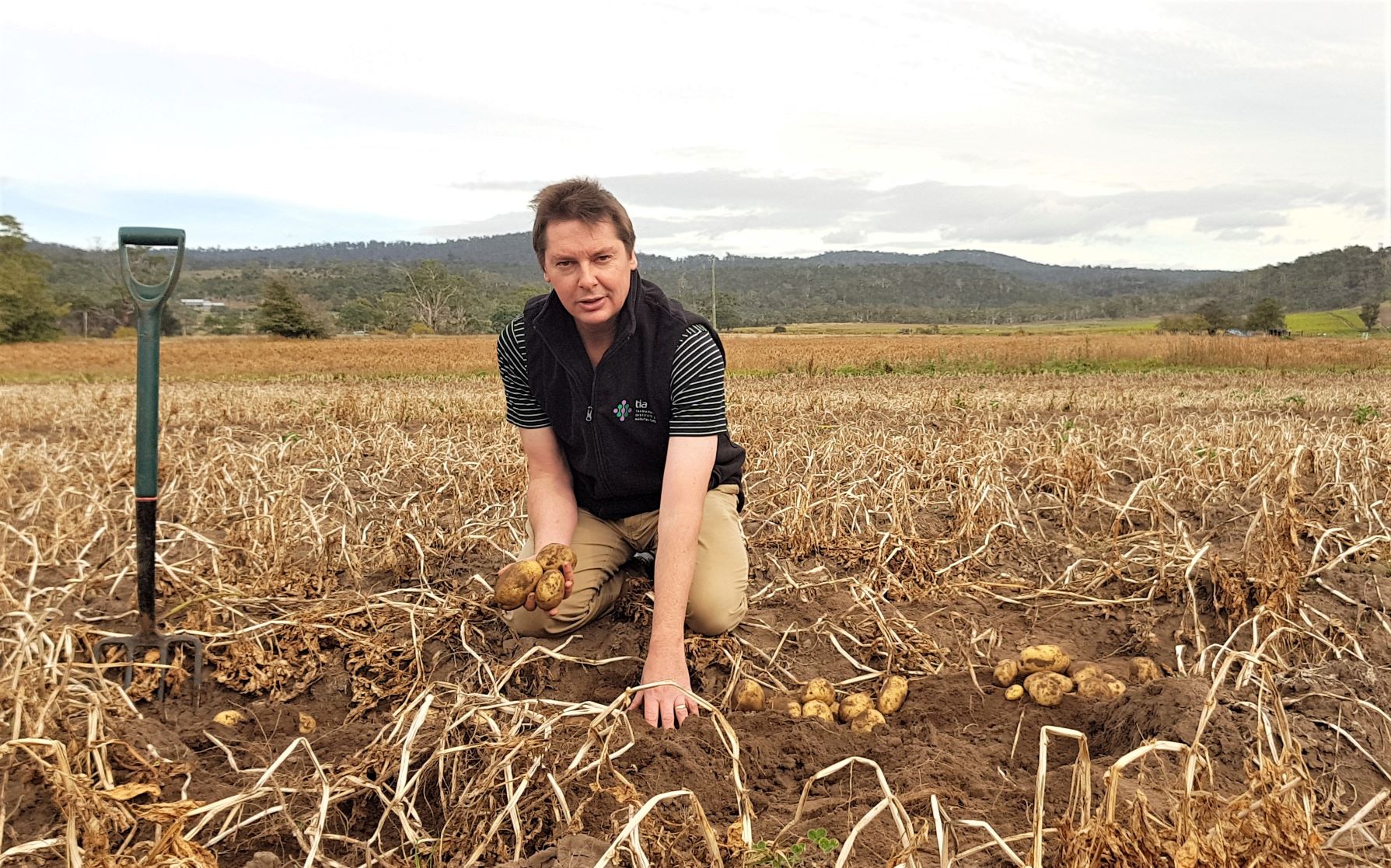 Thumbnail for Research to support Tasmania’s vital potato industry