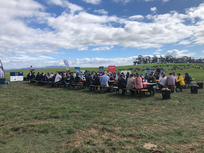A large number of dairy farmers sit on benches at long tables at a farm for the 2022 Tasmanian Dairy Awards. 