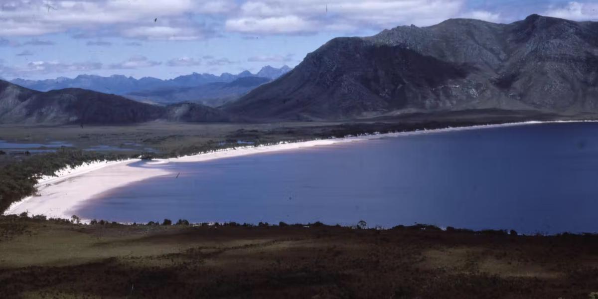 Thumbnail for The legacy of Lake Pedder: how the world’s first Green Party was born