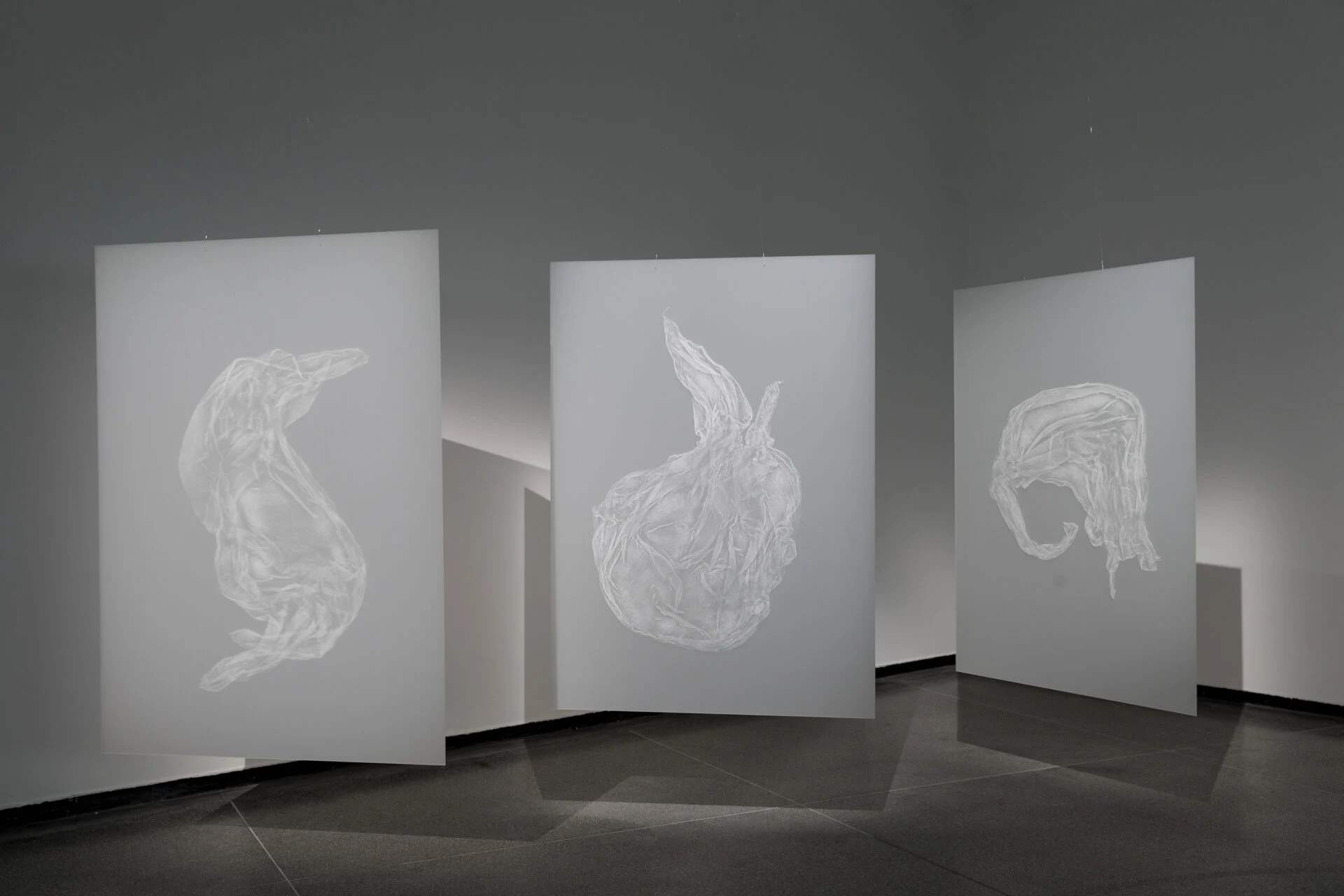 Image Description: Three grey acrylic panels with white images of floating fabric are suspended from the ceiling at different angles. Displayed in a gallery with white walls and a grey tiled floor.