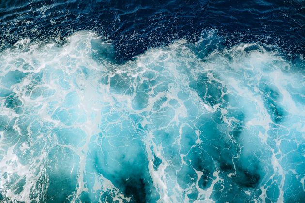 Thumbnail for Prestigious fellowship awarded to researcher exploring underwater motion tracking