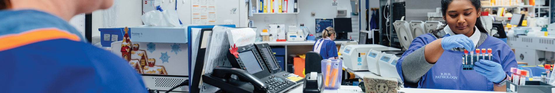 Bachelor of Biomedicine