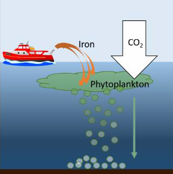 Figure 4. Ocean Fertilisation