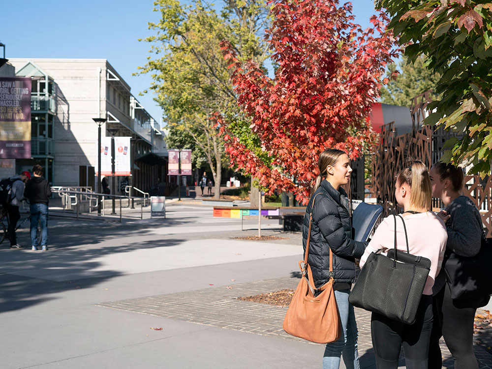 Students chatting in tree lined walkway at hte Newnham campus.