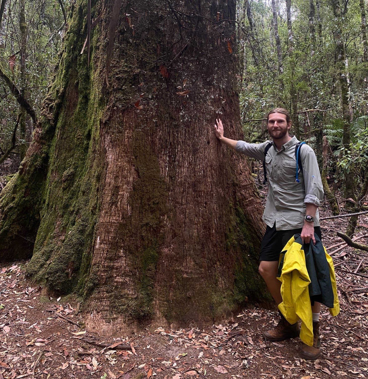 Peter Jackson in outdoor clothing standing beside a massive tree trunk in a dense forest, with one hand on the trunk and a yellow jacket in the other hand.