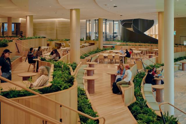 An image of the learning landscape and indoor plants in The Forest