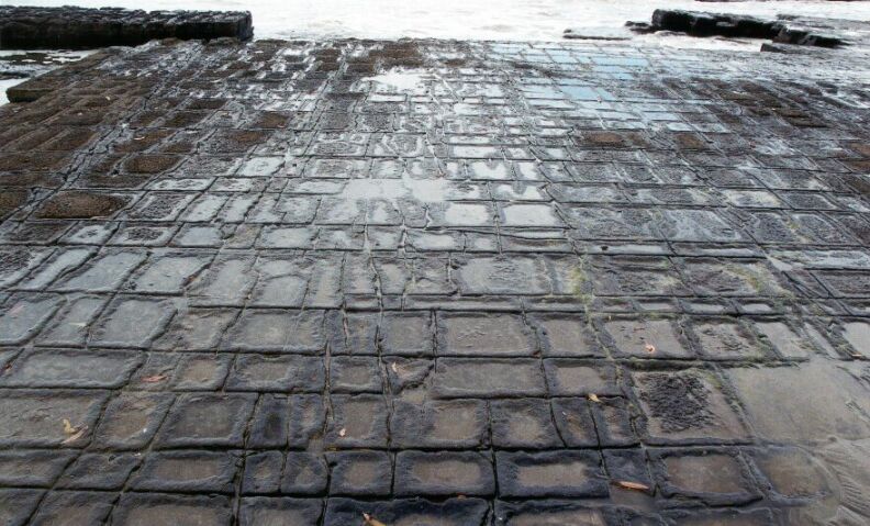 tesselated pavement tas
