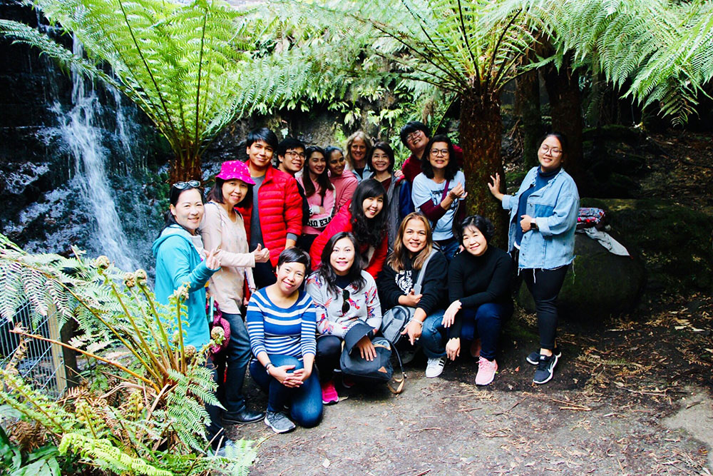  Under the fernery