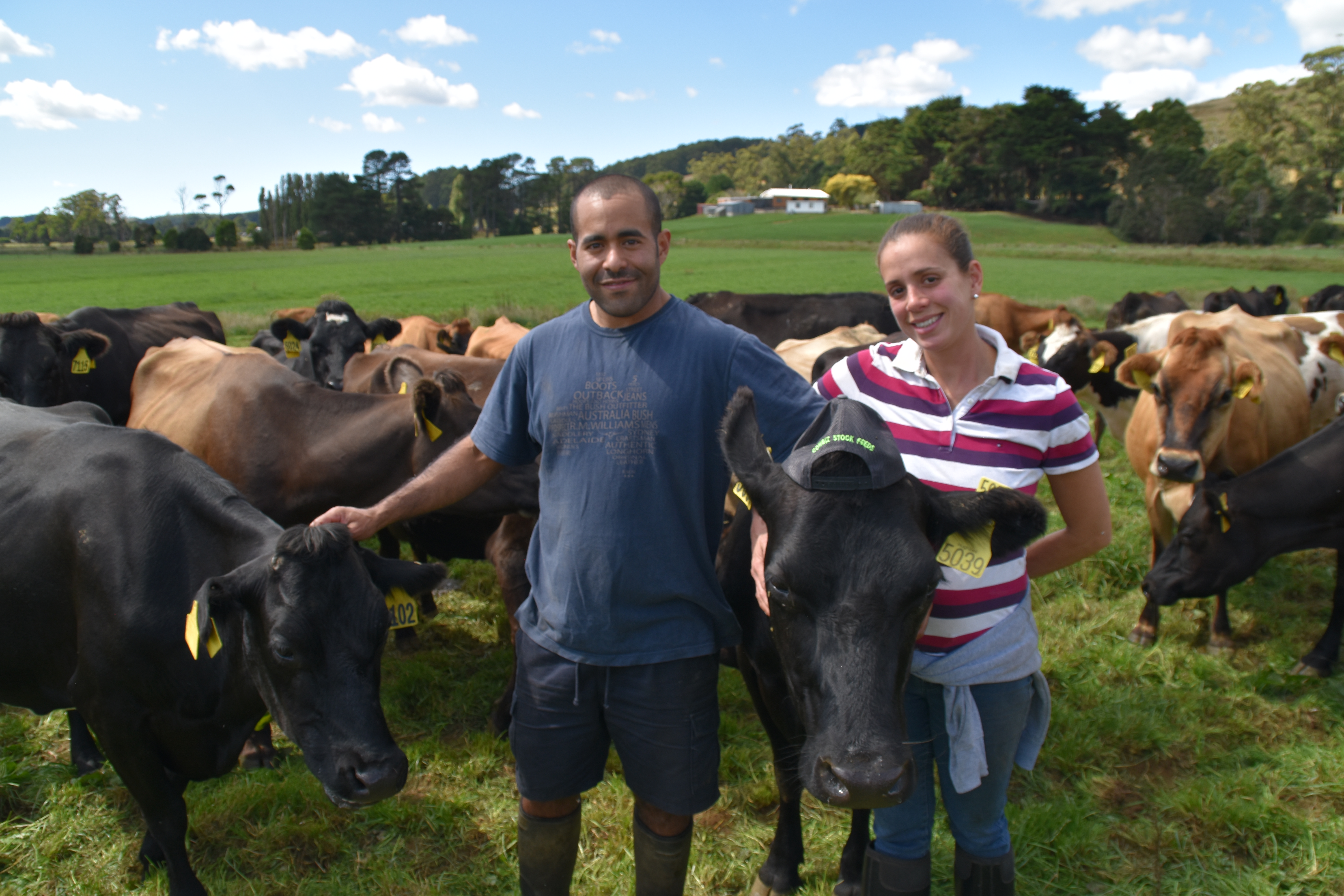 Thumbnail for Finalists announced for Dairy Business Awards