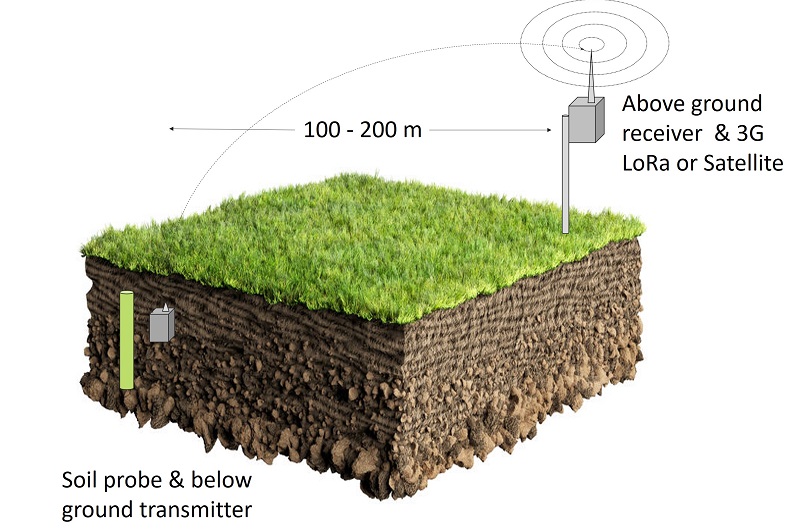 Thumbnail for 'Smart' soil sensors | Tasmanian Institute of Agriculture