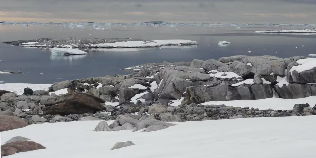 Thumbnail for Record-smashing heatwaves are hitting Antarctica and the Arctic