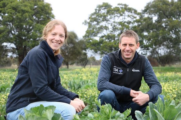 Thumbnail for $6.4 million boost for cool climate horticulture growers