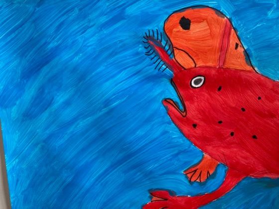 Thumbnail for Ripple effect: handfish exhibition inspires next generation of marine scientists
