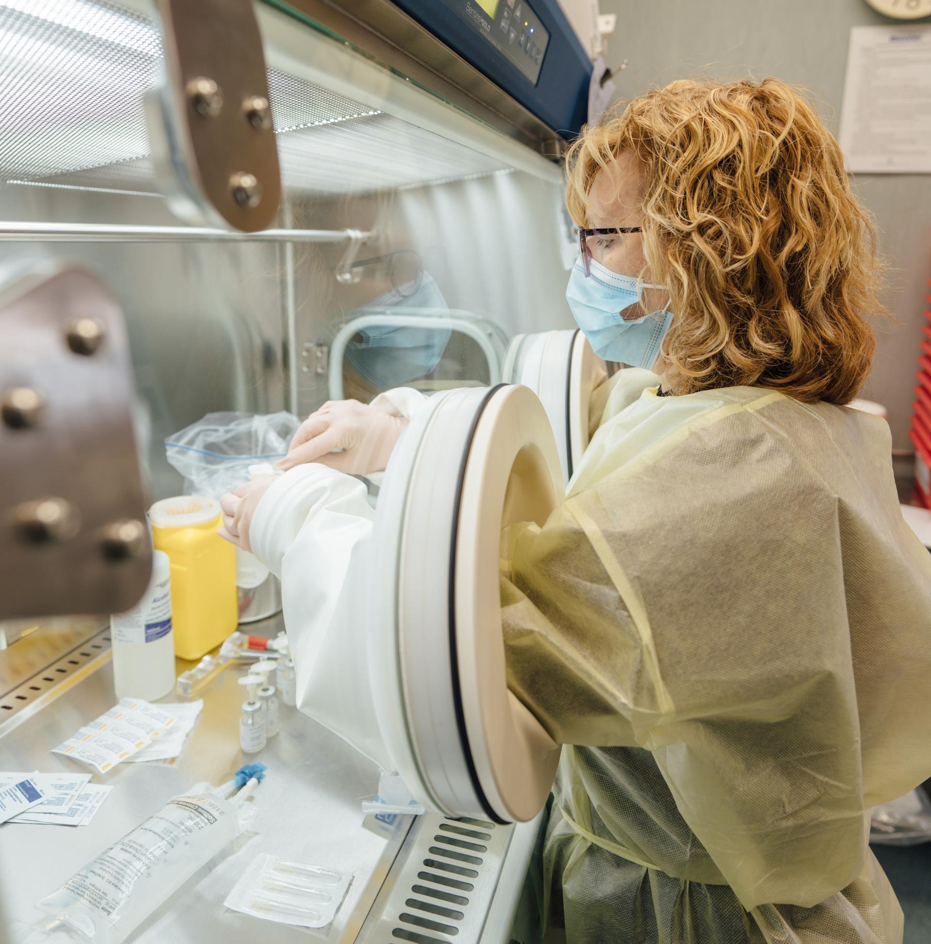 Biomedicine | Study at the University of Tasmania