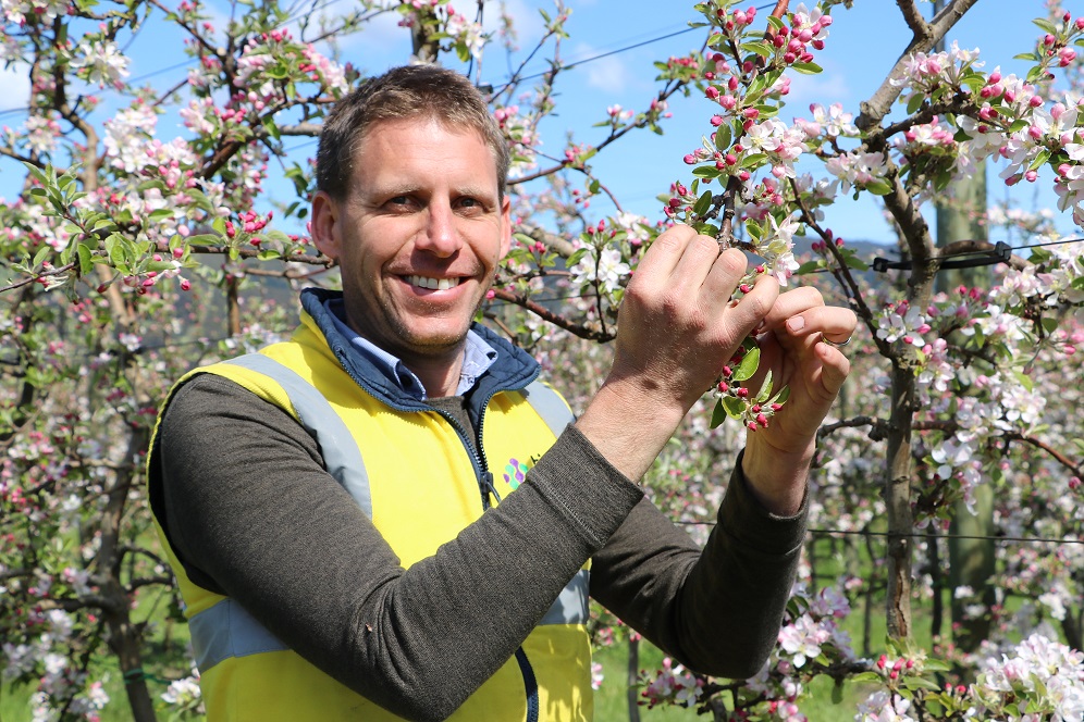 Dr Nigel Swarts and apple blossom