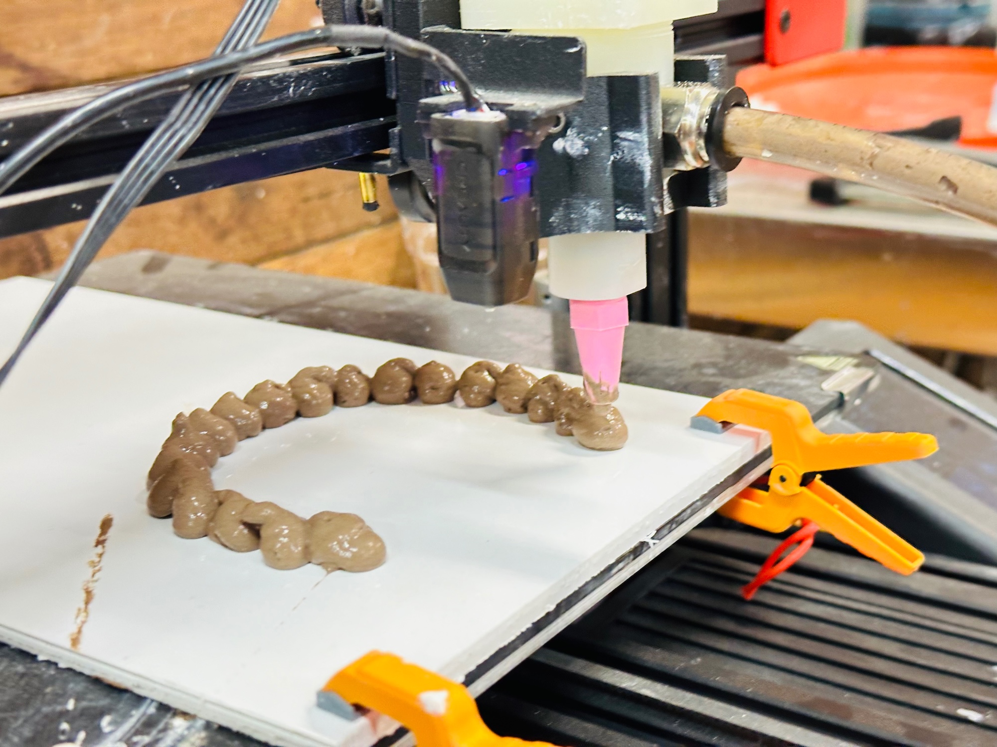 3D printing a biodesign project