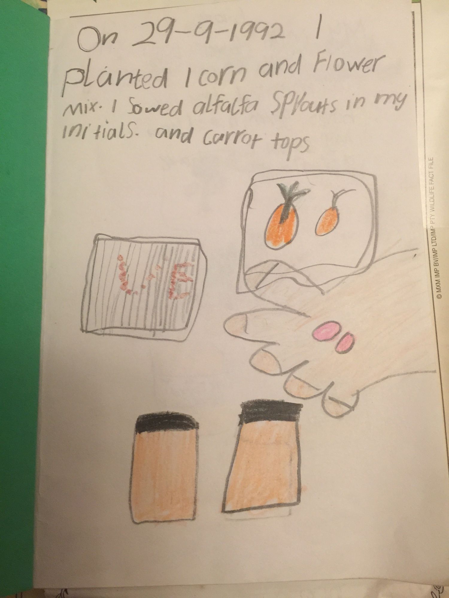 A picture of a science experiment Tory documented when she was 6 years old