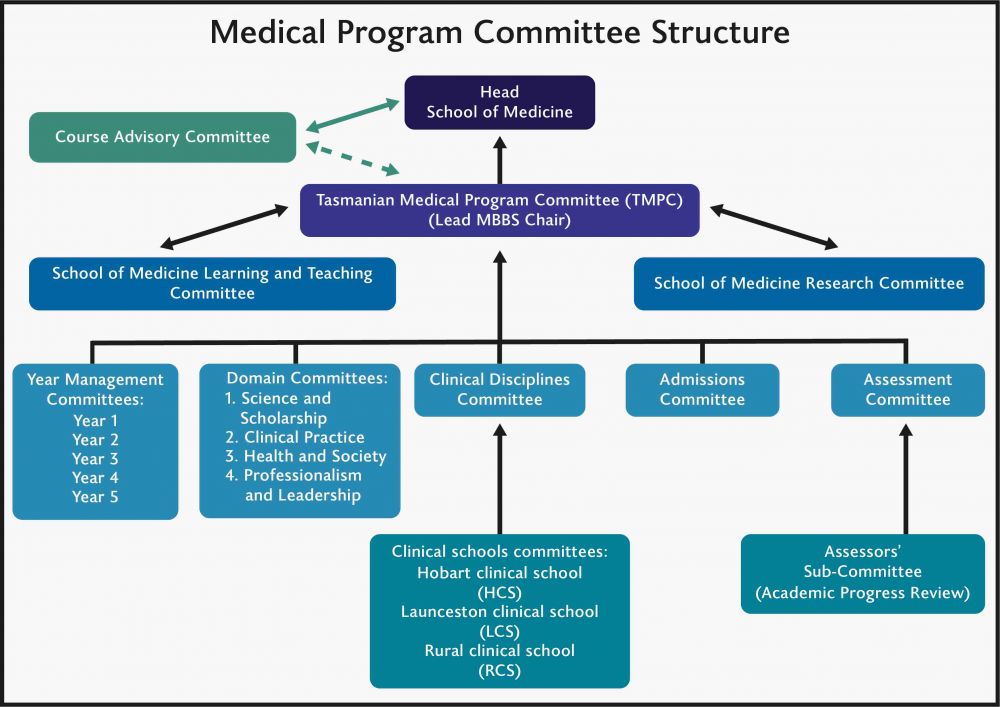 School of Medicine Committee Structure