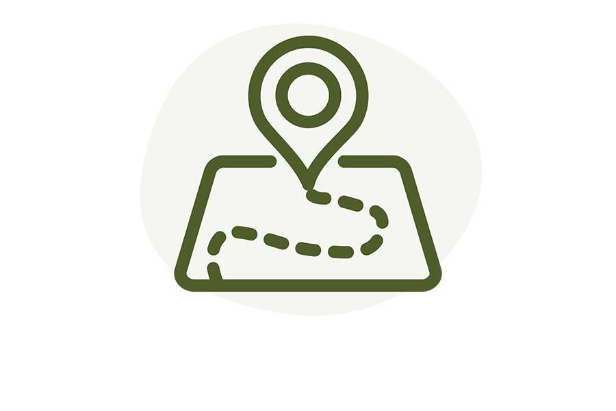 Map icon