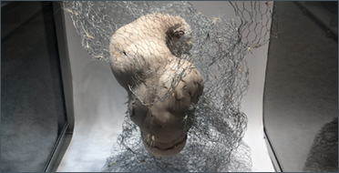 The image shows an abstract sculpture displayed in a glass case. It features a smooth, pale, torso‑like form&mdash;headless and armless&mdash;entangled in a loose, irregular structure made of thin metal wire mesh. The mesh surrounds and twists around the form, creating a sense of tension and movement. The background is plain and well-lit, making the sculpture stand out.