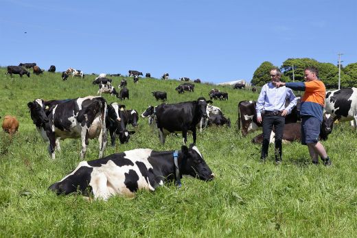 $6.5m research partnership to boost Australian dairy industry ...