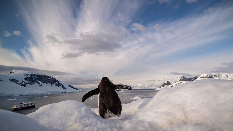 Thumbnail for Up close and personal: Antarctic researchers and citizen scientists join forces on Hurtigruten Expeditions this season