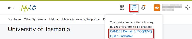 submit quizzes