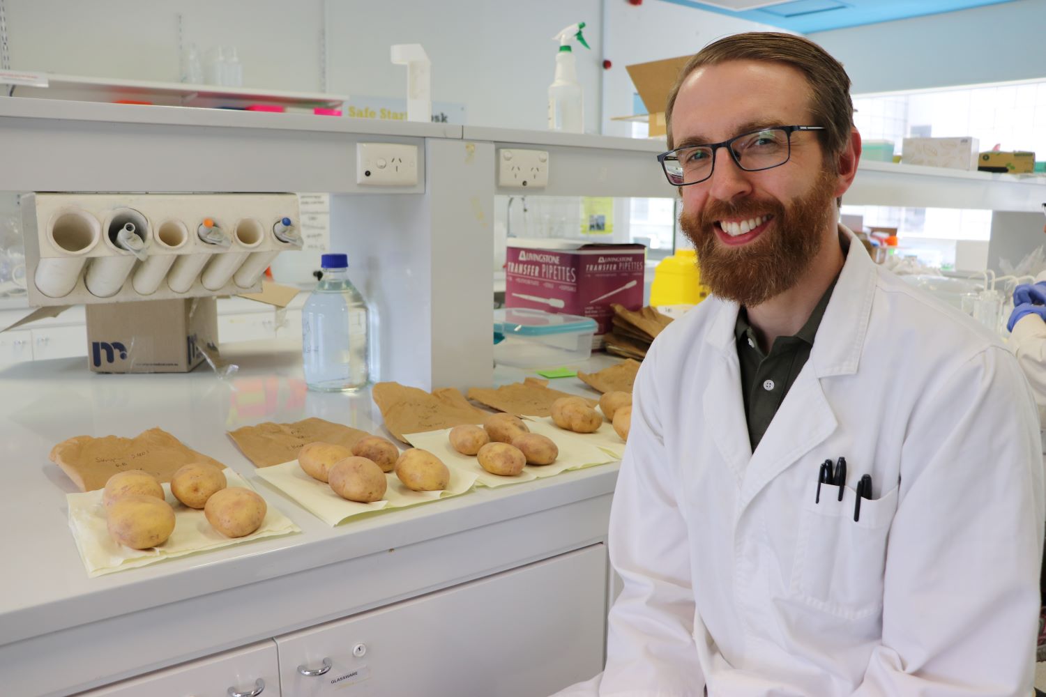 Researcher Nathan Tivendale with potatoes