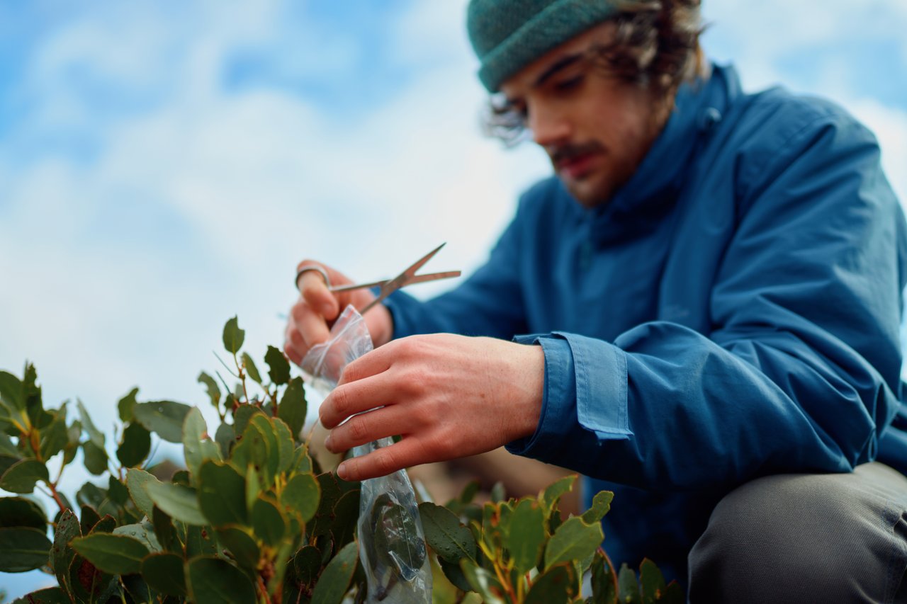 Nicholas Stratmann collecting samples