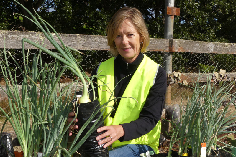 Thumbnail for Modelling onion white rot in Tasmania | Tasmanian Institute of Agriculture