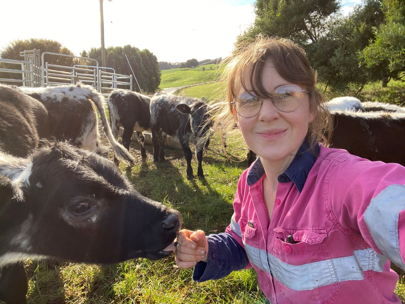 Megan Verdon in paddock with dairy calves