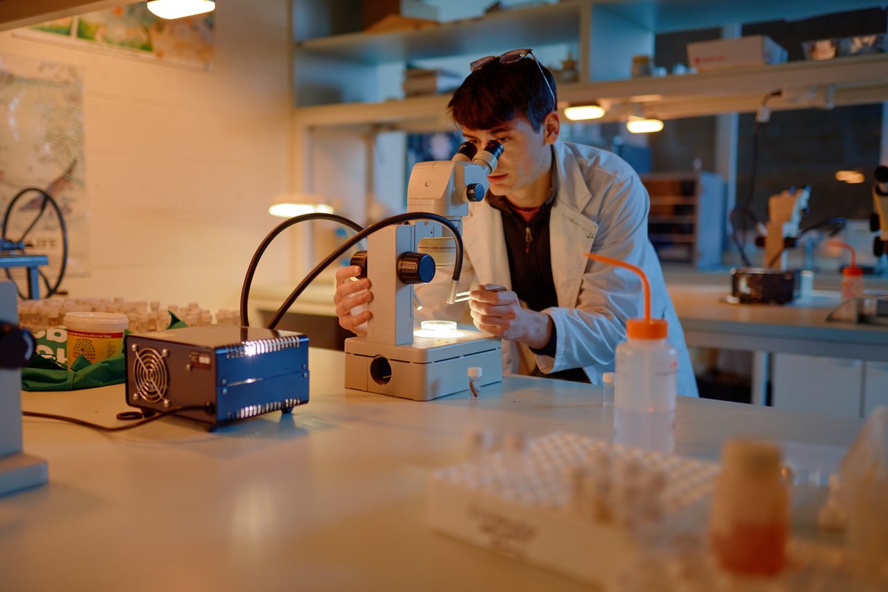 Josh looking at shrimp under microscope 