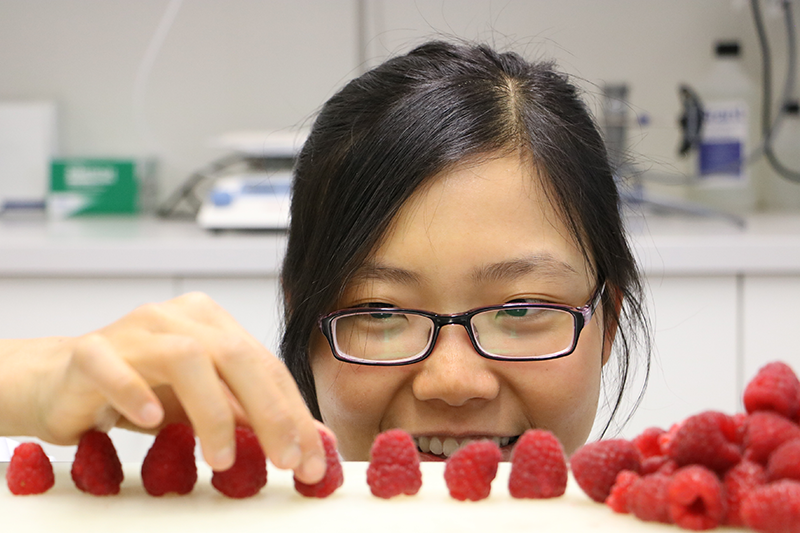 Thumbnail for Good news for berry lovers | Tasmanian Institute of Agriculture