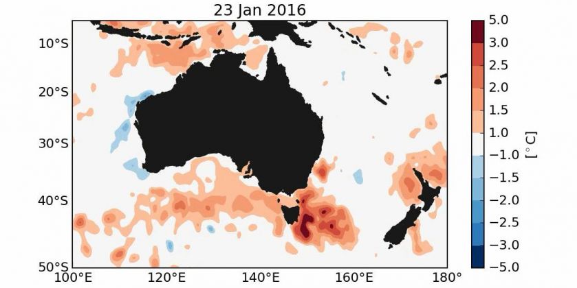 Thumbnail for Climate change likely culprit for marine heatwave