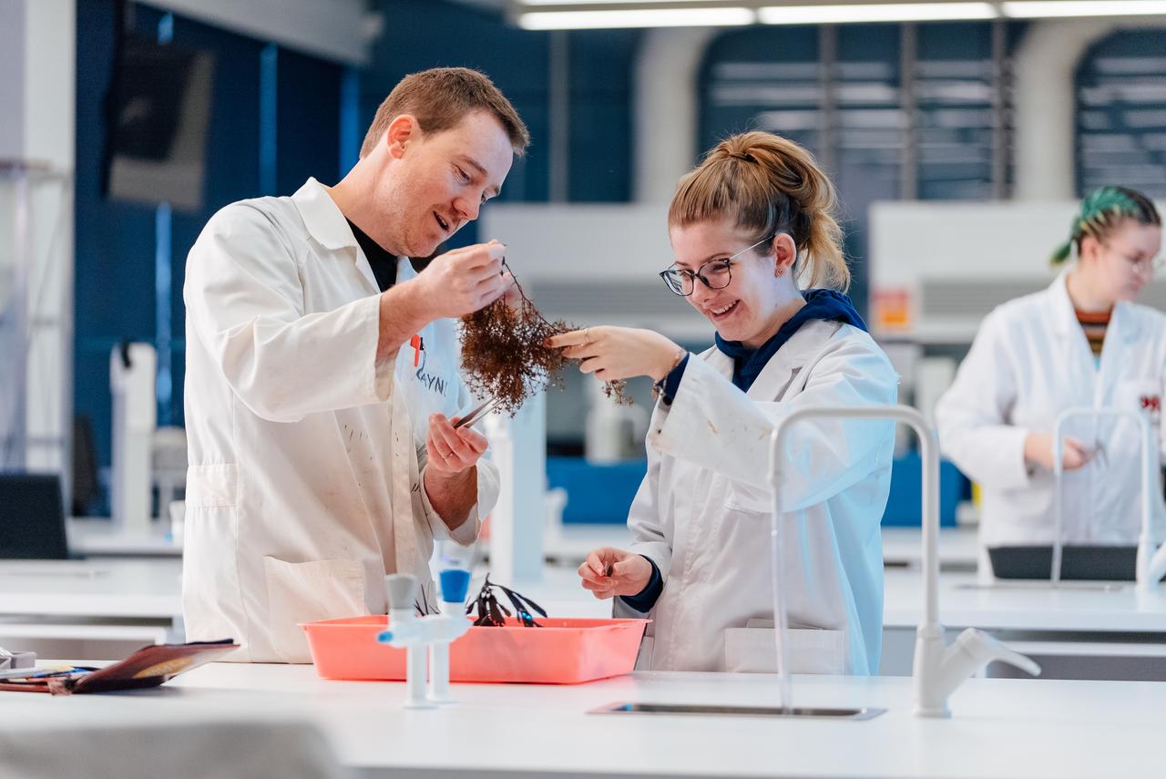 Students examining kelp in the lab