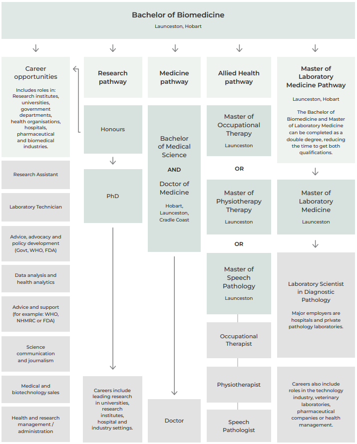 Biomedicine career pathways