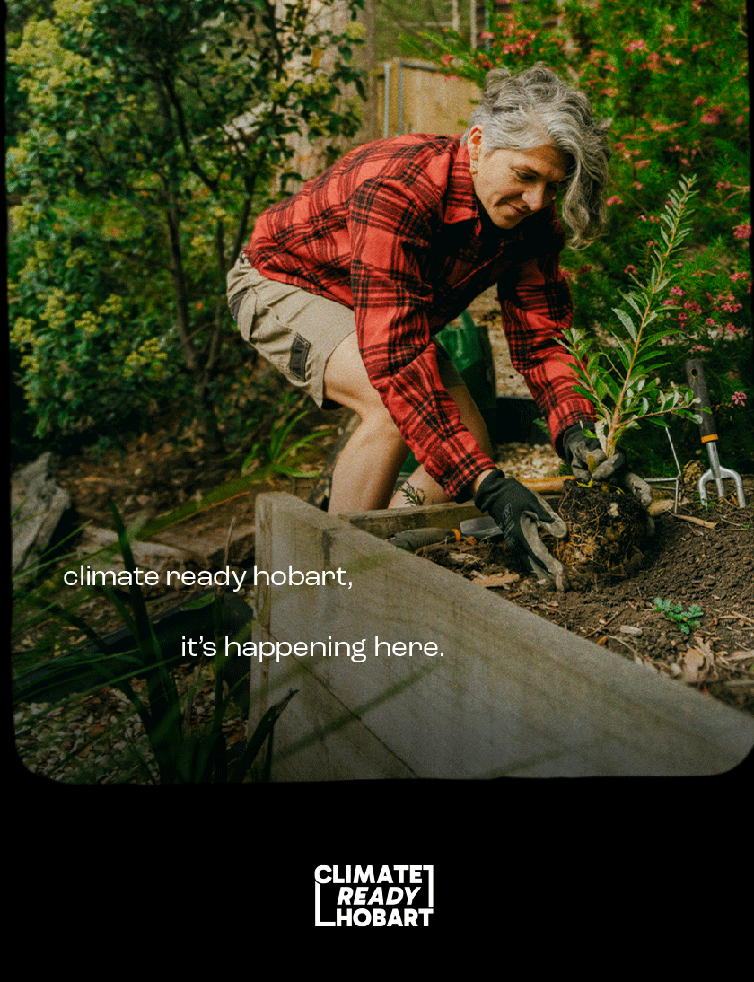 Woman in a red checked shirt and khaki pants planting a tree in a raised bed