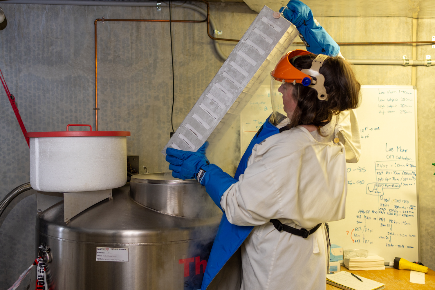 Researcher lifting samples from a cryostorage facility