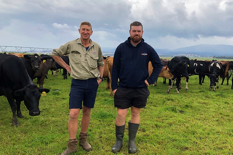 Thumbnail for 2021 ANZ Dairy Business of the Year Award finalists announced