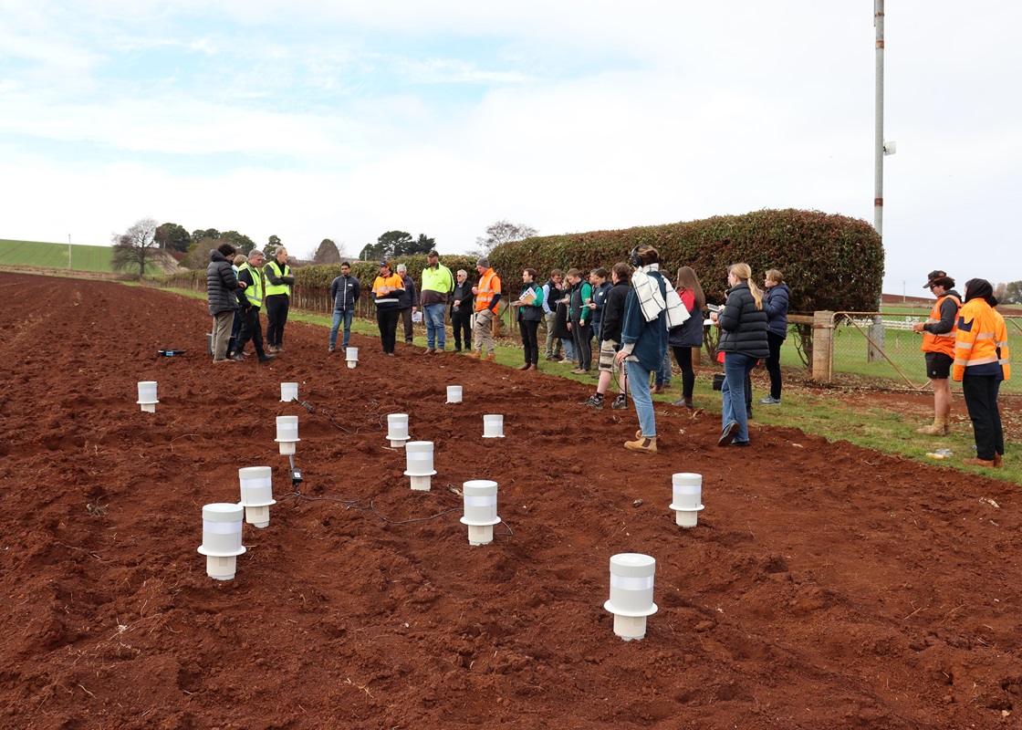 Field day at Forthside Vegetable Research Facility for the QUOLL e-nose