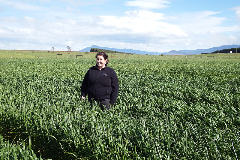Thumbnail for Cropping in High Rainfall Zone | Tasmanian Institute of Agriculture